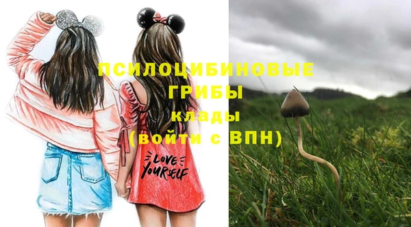 марки nbome Верхний Тагил