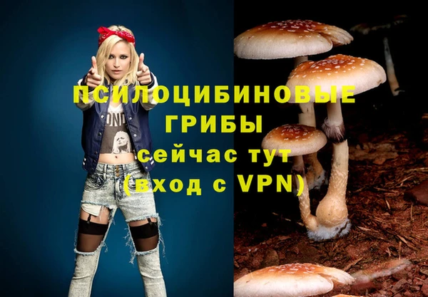 МДПВ Бронницы