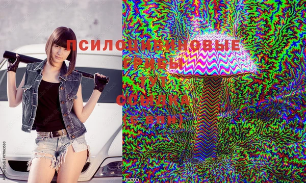 кокс Бородино